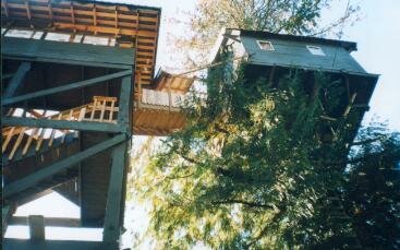 TH_lookingup.JPG (22895 bytes)