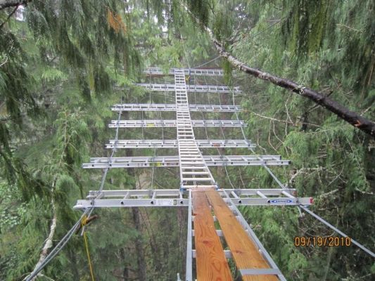 This web, constructed of steel cable and aluminum ladders, was built in the summer of 2009 and will support a new treehouse 75 feet in the air.