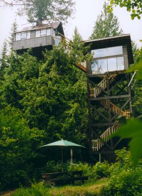 View from creek-side picnic area showing stairway on right, leading to treehouse at upper left