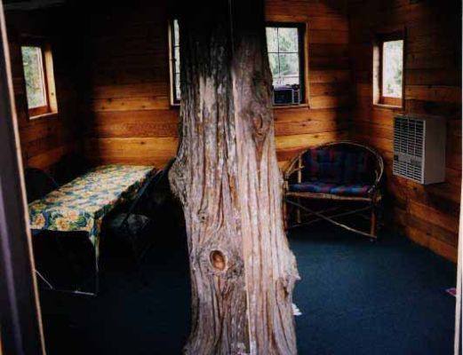 Composite photo of living room (with tree trunk in center)