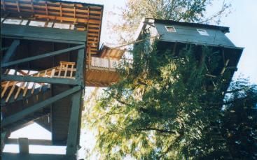 Looking up at the staircase and connecting stairway to the treehouse