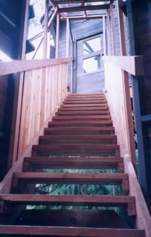 View of the top of the stairway, leading from the stairwell observation room to the treehouse door