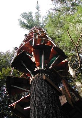 Stairway to Heaven from forest floor. Constructed in Summer 2003, the 80-foot spiral staircase will provide safe access to the treehouse observatory.