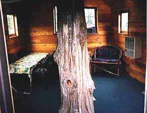 treehouse living room
