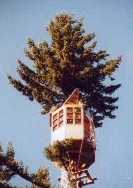 Nov2002-2.JPG (18883 bytes)